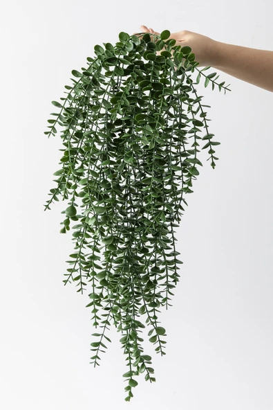 Güleç Yapay Çiçek Yapay Okaliptus Sarmaşık Uv Korumalı Koyu Yeşil 90 Cm 5 Dal - 4