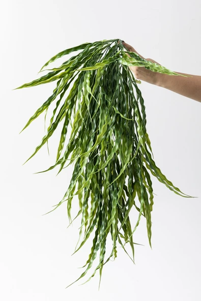 Güleç Yapay Çiçek Yapay Sarmaşık Uv Korumalı Sazlık Yeşil 90 Cm 5 Dal - 3