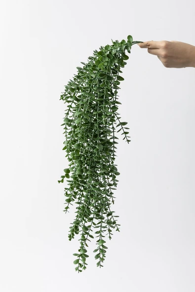 Güleç Yapay Çiçek Yapay Okaliptus Sarmaşık Uv Korumalı Koyu Yeşil 90 Cm 5 Dal - 3