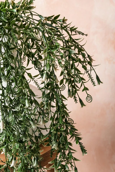 Güleç Yapay Çiçek Yapay Sarmaşık Uv Korumalı Küpe Yeşil Beyaz 80 Cm 5 Dal - 2