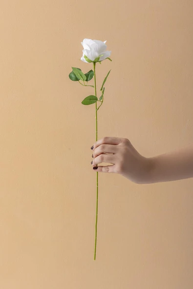 Güleç Yapay Çiçek Yapay Kadife Gül Tek Dal Beyaz 50 Cm