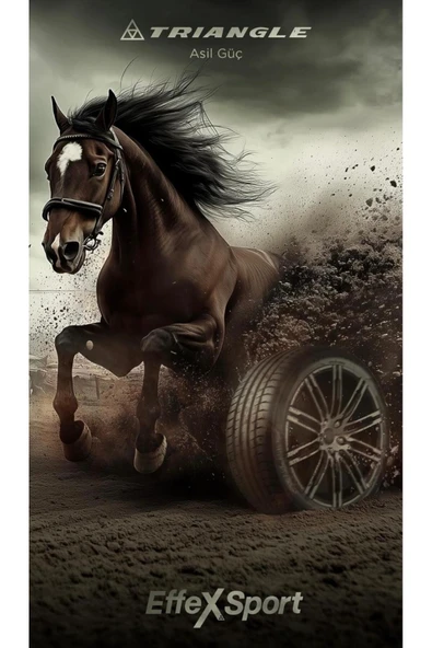 TRIANGLE 235/35R19 91Y TRİANGLE EFFEXSPORT TH202 PERFORMANS LASTİĞİ - 2