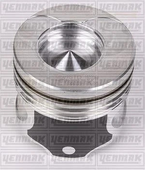 MOTOR PİSTON SEGMAN STD 25PİM CLIO-KNG-SYMBOL 1.5 DCI