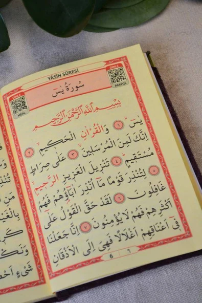 Kutulu 128 Sayfa Kadife Yasin ve İnci Tesbih Seti Mor - Resim 4
