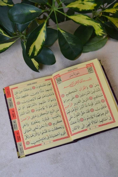 Kutulu 128 Sayfa Kadife Yasin ve İnci Tesbih Seti Mor - Resim 5