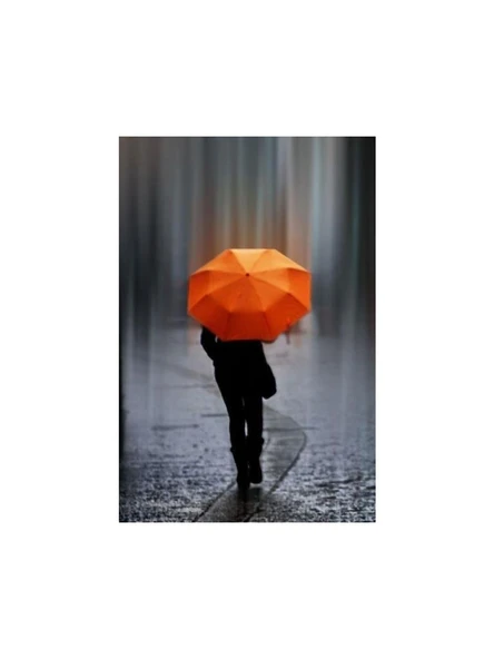 Eleven Market Tam Otomatik Çanta Boy Renkli Şemsiye - 5