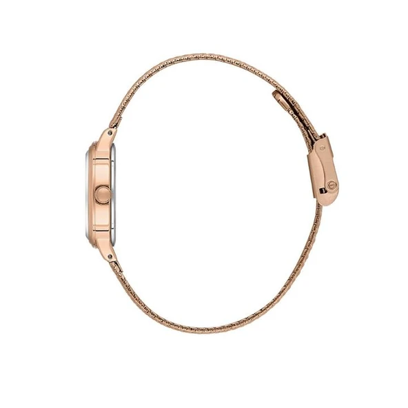 Daniel Klein DK.1.13868-8 Kadın Kol Saati - Resim 2