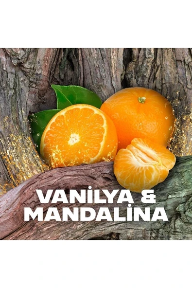 AXE AFRİCA ERKEK DEODORANT SPREY 150 ML - 4