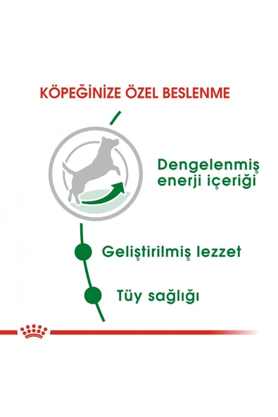 Royal Canin Mini Adult Küçük Irklar Için Yetişkin Kuru Köpek Maması 4kg - 7