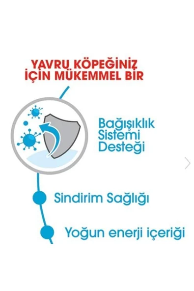 Royal Canin Mını Puppy Küçük Irklar Için Yavru Kuru Köpek Maması 4kg - 3