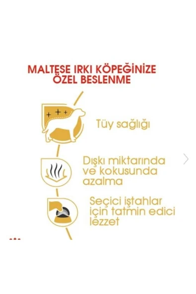 Royal Canin Maltese Yetişkin Kuru Köpek Maması 1.5kg - 4