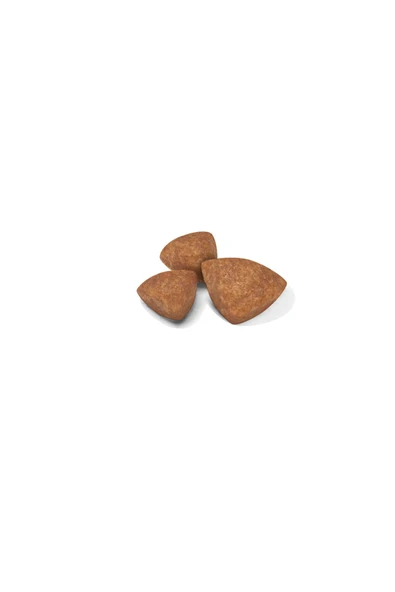Royal Canin Xsmall Puppy Çok Küçük Irklar Için Yavru Kuru Köpek Maması 3kg - 2
