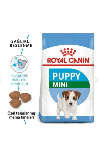Royal Canin Mını Puppy Küçük Irklar Için Yavru Kuru Köpek Maması 4kg - 2