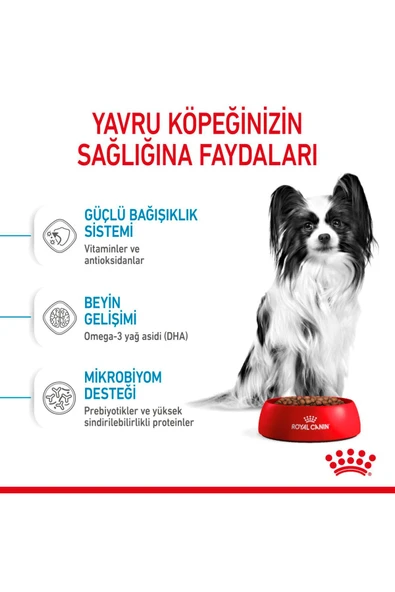 Royal Canin Xsmall Puppy Çok Küçük Irklar Için Yavru Kuru Köpek Maması 1.5kg - 4