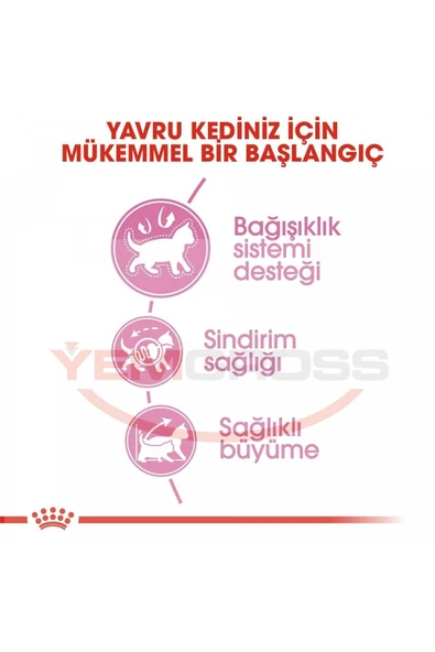 Royal Canin Yavru Kediler Için Kuru Kedi Maması 10kg - 5