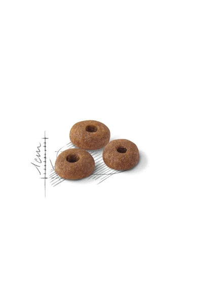 Royal Canin Fit 32 Açık Yetişkin Kedi Maması 1 KG PAKETLENMİŞ AÇIK - 2