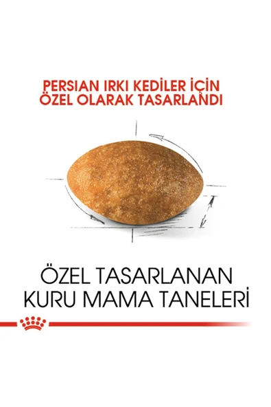 Royal Canin İran Kedisi Için Kuru Kedi Maması 2kg - 4