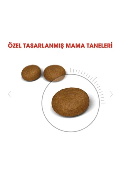 Royal Canin Hair&skin Tüy Ve Deri Sağlığı Için Kuru Kedi Maması 2kg - 4