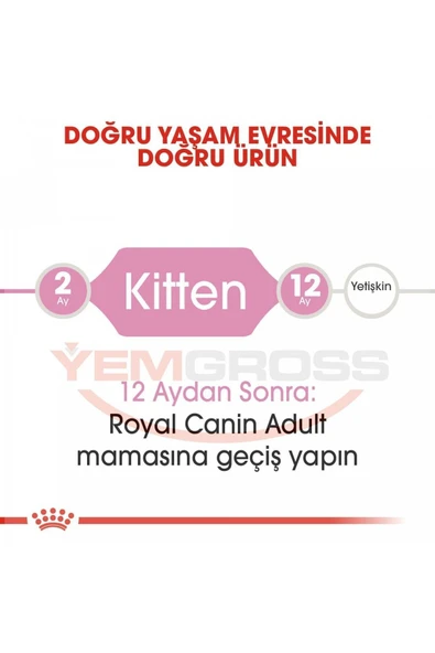 Royal Canin Yavru Kediler Için Kuru Kedi Maması 10kg - 4