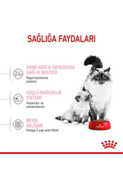 Royal Canin Mother&babycat Gebe/laktasyondaki Anne Ve Yavru Kedi Için Kuru Kedi Maması 2kg - Resim 5