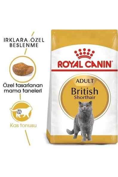 Royal Canin British Shorthair Yetişkin Kedi Maması 2kg - 1