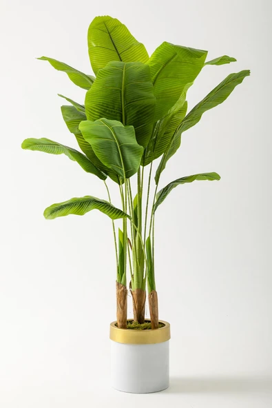 Güleç Yapay Çiçek Yapay Muz Ağacı 160 Cm Beyaz Gold Metal Saksı ürün görseli 1