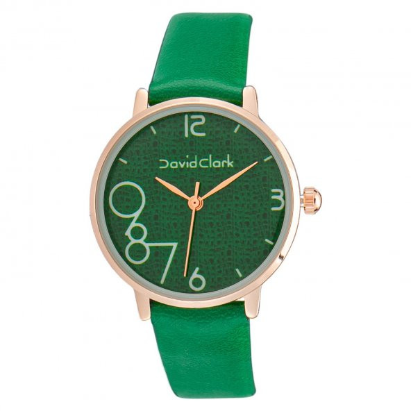 David Clark DC50153M-04 Kadın Kol Saati Yeşil