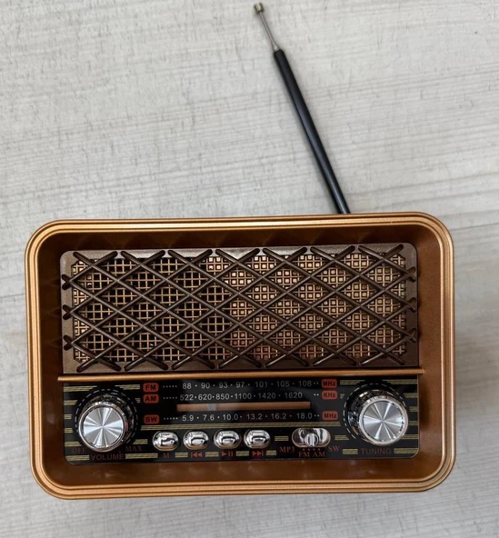 Fm Radyolu Led ışıklı Bluetooth Hoparlör Radyo Sd Kart Usb Girişli Mp3 Müzik Çalar