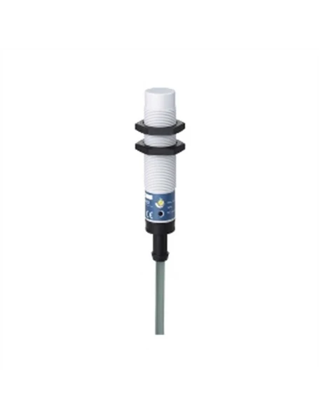 Telemecanique Xt218A1Pal2 Kapasitif Sensör-Xt1-Silindir M18-Plastik-Sn 8 Mm-Kablo 2M