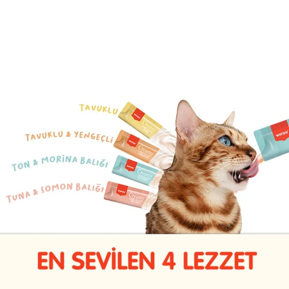 Wanpy Karışık 4 Lezzetli Krema Kedi Ödülü 100 x 14 Grm - 2