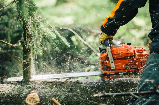 ECHO CS621SX MOTORLU TESTERE - 4