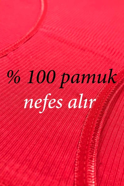 12 Adet Fitilli Pamuklu Kadın Kaşkorse Bikini Külot - Resim 2