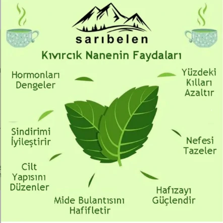Doğalsan Yulaf kepeği 400 gr + yulaf unu 1kg +kıvırcık nane çayı doğal sağlık seti - 2