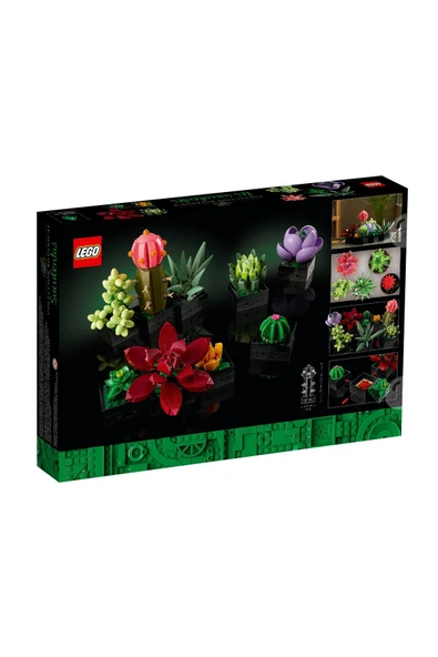 Creator Sukulentler/ Succulents 10309 - 3