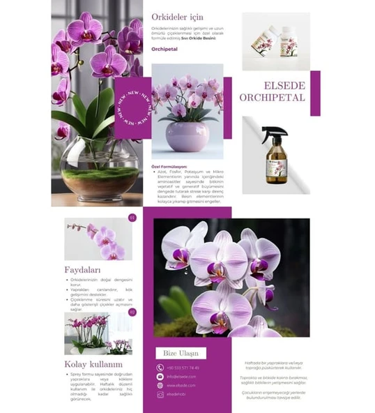 ELSEDE Orchipetal Sprey Orkide Bitki Besini - Resim 2