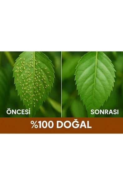 ELSEDE Neem Yağı - 3
