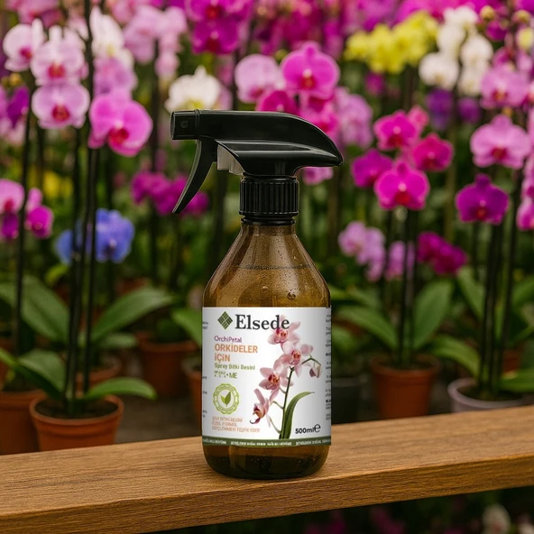 ELSEDE Orchipetal Sprey Orkide Bitki Besini - Resim 3