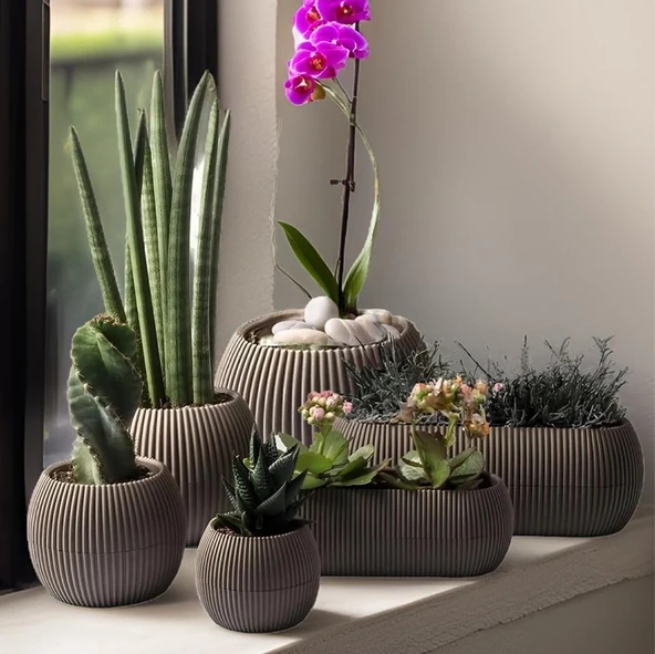 Omnipazar KRS Mercan Dekoratif Sukulent Kaktüs Plastik Saksı Takımı 6'lı Set Kahverengi ürün görseli