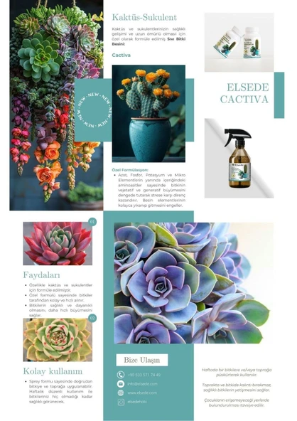 ELSEDE Cactiva Sprey - Kaktüs Ve Sukulent Bitki Besini - Resim 2
