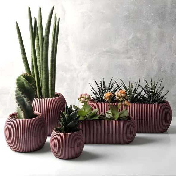 Omnipazar KRS Mercan Dekoratif Sukulent Kaktüs Plastik Saksı Takımı 5'li Set Soft Pembe ürün görseli