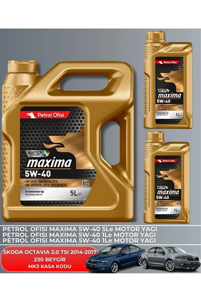 Petrol Ofisi SKODA OCTAVIA 2.0 TSI 2014-2015-2016-2017 230 BEYGİR FİLTRE - YAĞ BAKIM SETİ - Resim 5