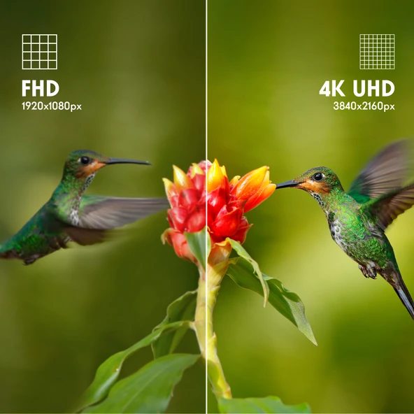 THOMSON 65UG4S14 65" 164 Ekran Uydu Alıcılı 4K Ultra HD Google LED TV - 8