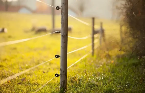 Galvanizli Elektrikli Çit Teli 1,0 500 metre - 2
