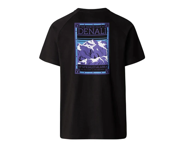 The North Face Giyim Tişört M S/S North Faces Tee NF0A87NUJK31 - 5