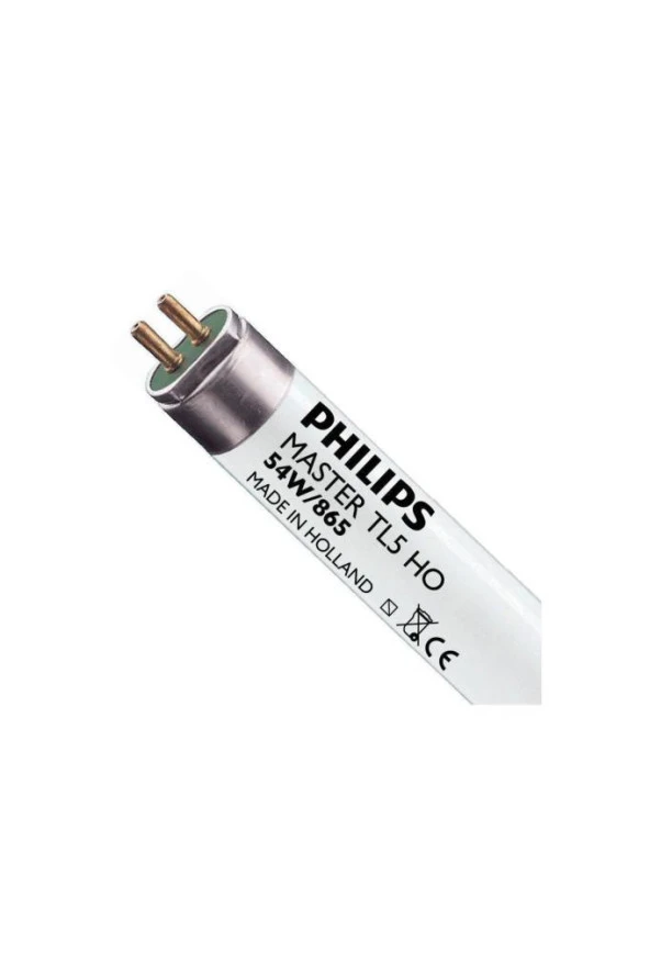 Philips 54W T5 Floresan Armatür Cool Daylight 115 Cm