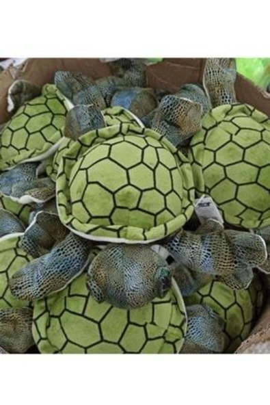 Şeker Adası Sevimli Peluş Kaplumbağa--skradapelus55 ürün görseli