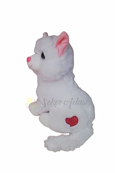Şeker Adası Kar Beyaz Peluş Kedi 28 Cm--skradapelus47 - Resim 2