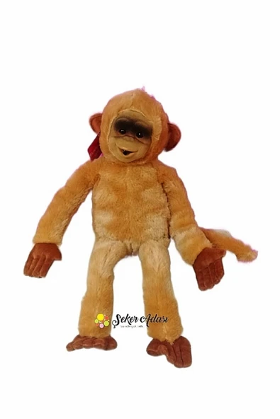 Şeker Adası Sesli Peluş Maymun Kukuli Monkey --skradapelus43 - Resim 2