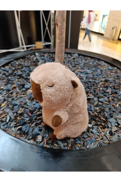 Şeker Adası Sevimli Peluş Kapibara 30 cm Uyku Ve Oyun Arkadaşı Capibara Hayvan Oyuncak - Resim 3