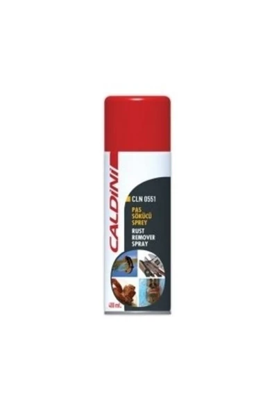 CALDİNİ Pas Sökücü 400 Ml